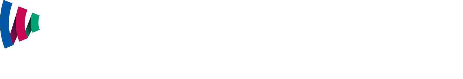 WOWOWオンデマンド 視聴方法