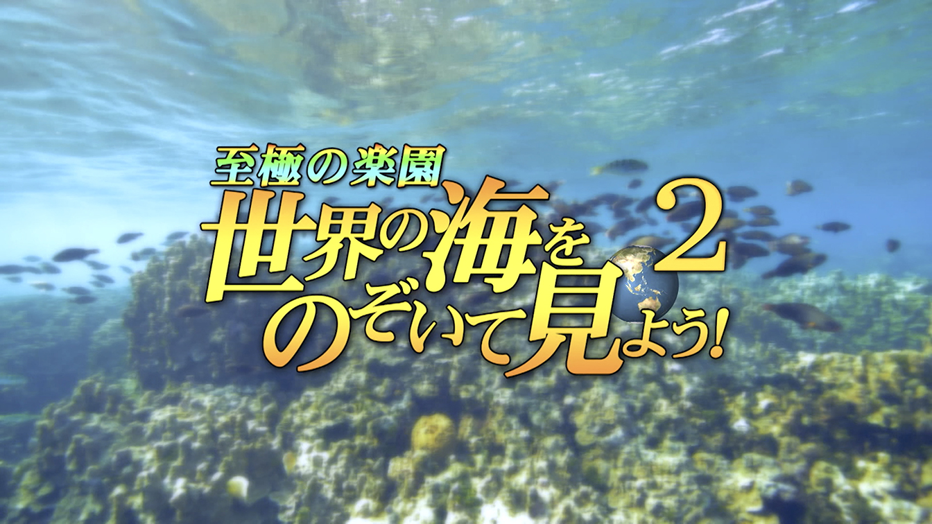 至極の楽園 世界の海をのぞいて見よう！2
