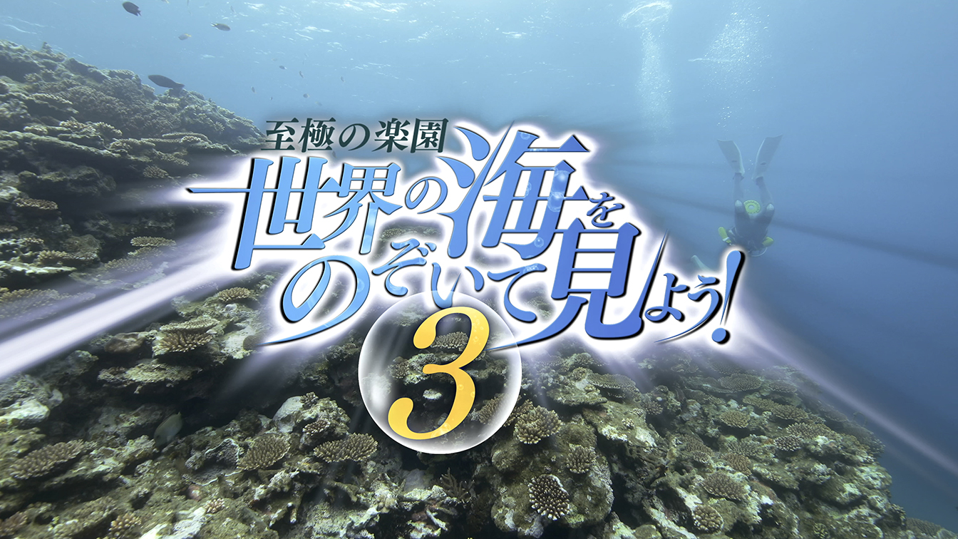 至極の楽園 世界の海をのぞいて見よう！3