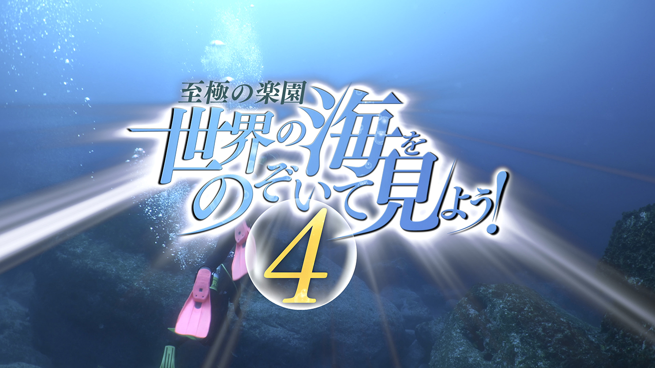 至極の楽園 世界の海をのぞいて見よう！4